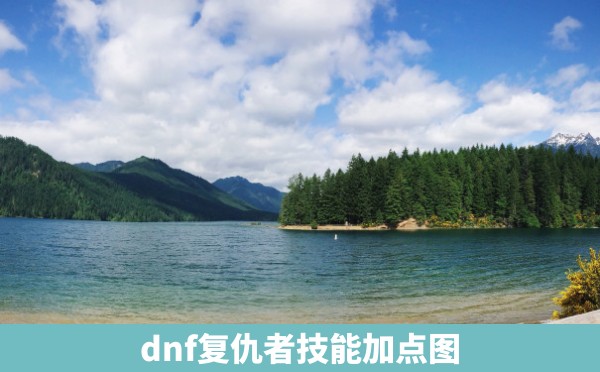 dnf复仇者技能加点图