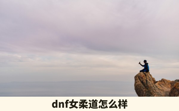 dnf女柔道怎么样