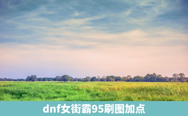 dnf女街霸95刷图加点