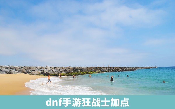 dnf手游狂战士加点