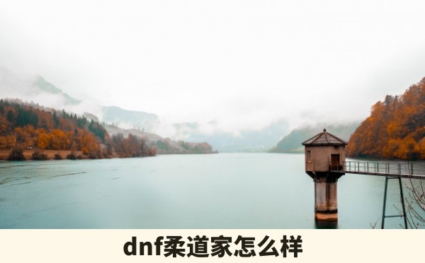 dnf柔道家怎么样