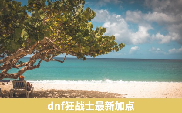 dnf狂战士最新加点