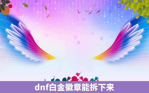 dnf白金徽章能拆下来