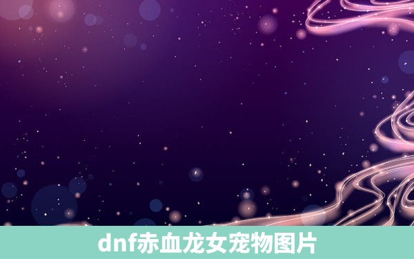 dnf赤血龙女宠物图片