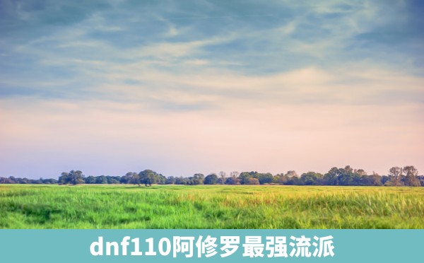 dnf110阿修罗最强流派