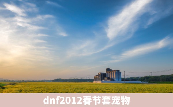 dnf2012春节套宠物