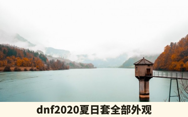 dnf2020夏日套全部外观