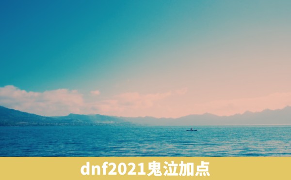 dnf2021鬼泣加点