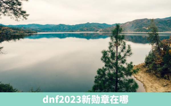 dnf2023新勋章在哪