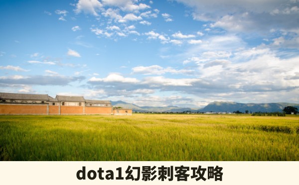 dota1幻影刺客攻略