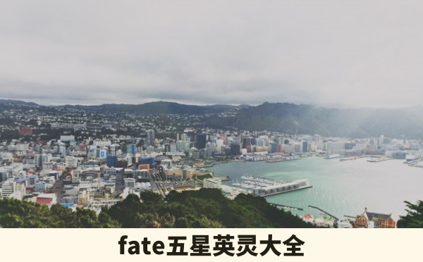 fate五星英灵大全