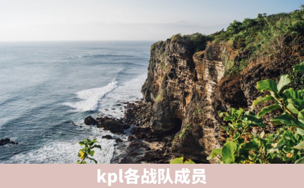 kpl各战队成员