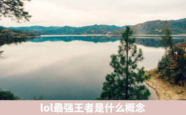 lol最强王者是什么概念