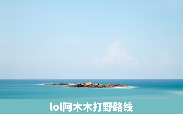 lol阿木木打野路线