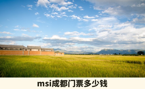 msi成都门票多少钱