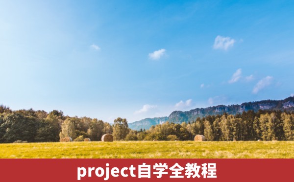 project自学全教程