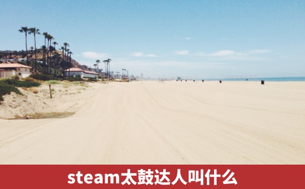 steam太鼓达人叫什么