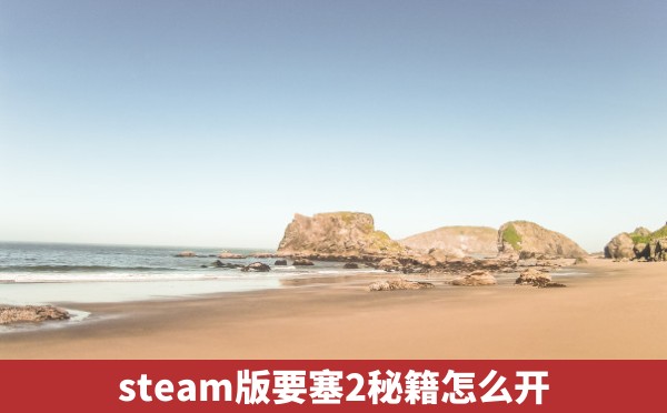 steam版要塞2秘籍怎么开