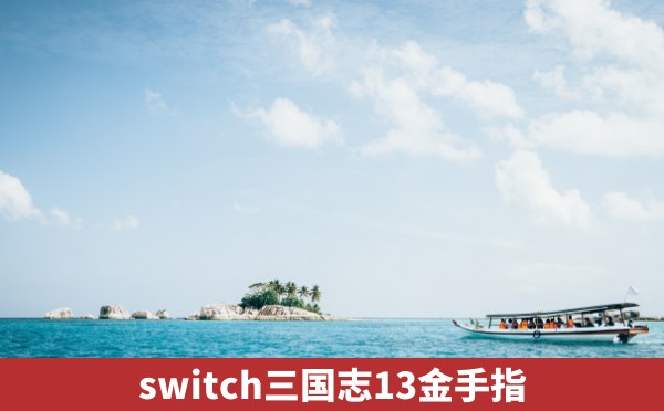 switch三国志13金手指