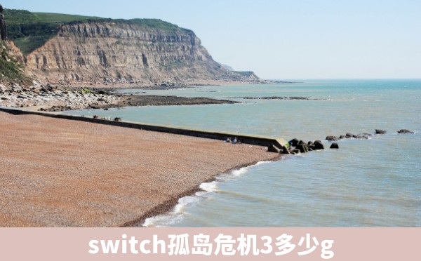 switch孤岛危机3多少g