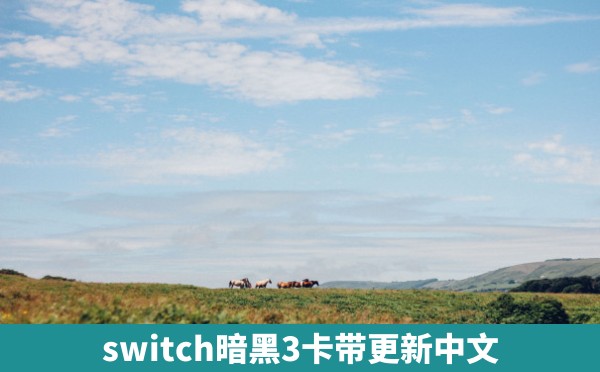 switch暗黑3卡带更新中文