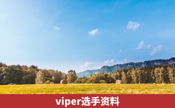 viper选手资料