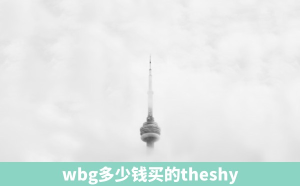 wbg多少钱买的theshy