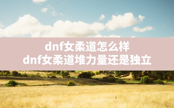 dnf女柔道怎么样(dnf女柔道堆力量还是独立) - 凌海手游网