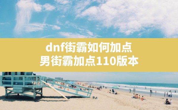 dnf街霸如何加点,男街霸加点110版本 - 凌海手游网