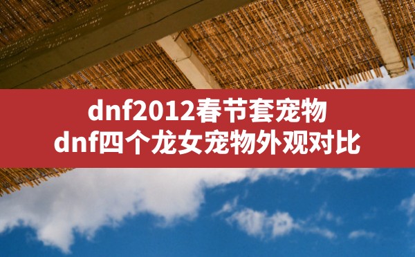 dnf2012春节套宠物(dnf四个龙女宠物外观对比) - 凌海手游网