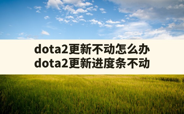 dota2更新不动怎么办,dota2更新进度条不动 - 凌海手游网