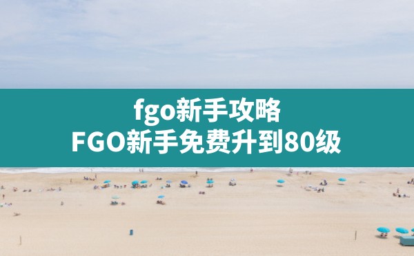 fgo新手攻略(FGO新手免费升到80级) - 凌海手游网