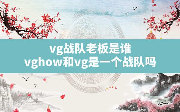 vg战队老板是谁,vghow和vg是一个战队吗 - 凌海手游网