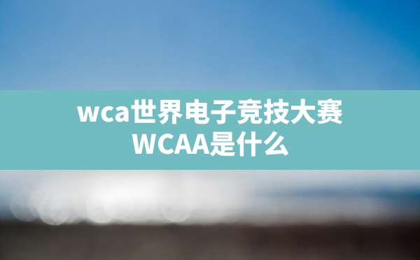 wca世界电子竞技大赛(WCAA是什么) - 凌海手游网