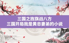 三国之旌旗战八方(三国开局我是黄忠妻弟的小说)