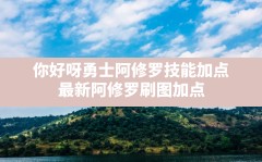 你好呀勇士阿修罗技能加点(最新阿修罗刷图加点)