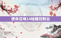 使命召唤14秘籍控制台