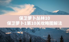 保卫萝卜丛林10,保卫萝卜1第10关攻略图解法