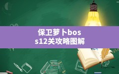 保卫萝卜boss12关攻略图解(保卫萝卜boss模式攻略12关)