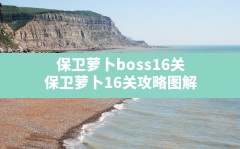 保卫萝卜boss16关,保卫萝卜16关攻略图解