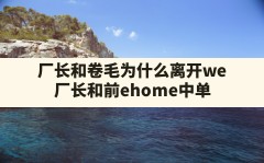 厂长和卷毛为什么离开we,厂长和前ehome中单选手梦梦贝利亚的聊天记录