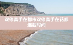 双修高手在都市,双修高手在花都 连载时间