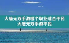 大唐无双手游哪个职业适合平民(大唐无双手游平民玩家适合什么职业)