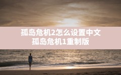 孤岛危机2怎么设置中文,孤岛危机1重制版