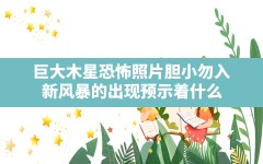 巨大木星恐怖照片胆小勿入(新风暴的出现预示着什么)