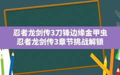 忍者龙剑传3刀锋边缘金甲虫(忍者龙剑传3章节挑战解锁)