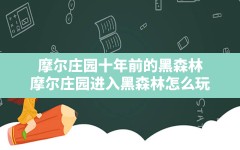 摩尔庄园十年前的黑森林(摩尔庄园进入黑森林怎么玩)