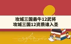 攻城三国最牛12武将,攻城三国12资质谁入圣