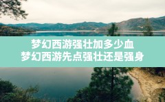 梦幻西游强壮加多少血,梦幻西游先点强壮还是强身