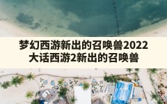 梦幻西游新出的召唤兽2022(大话西游2新出的召唤兽)